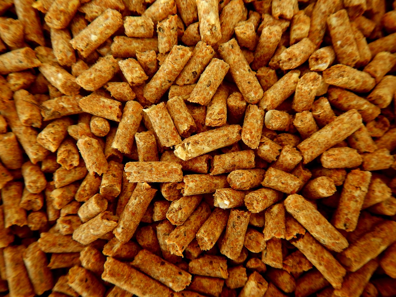 feed, animal nutrition, pellets, pellets, pellets, pellets, pellets, pellets